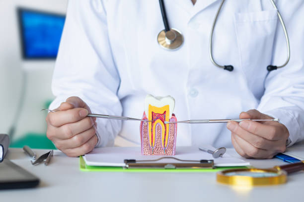 Best Emergency Root Canal Therapy in Nederland, TX